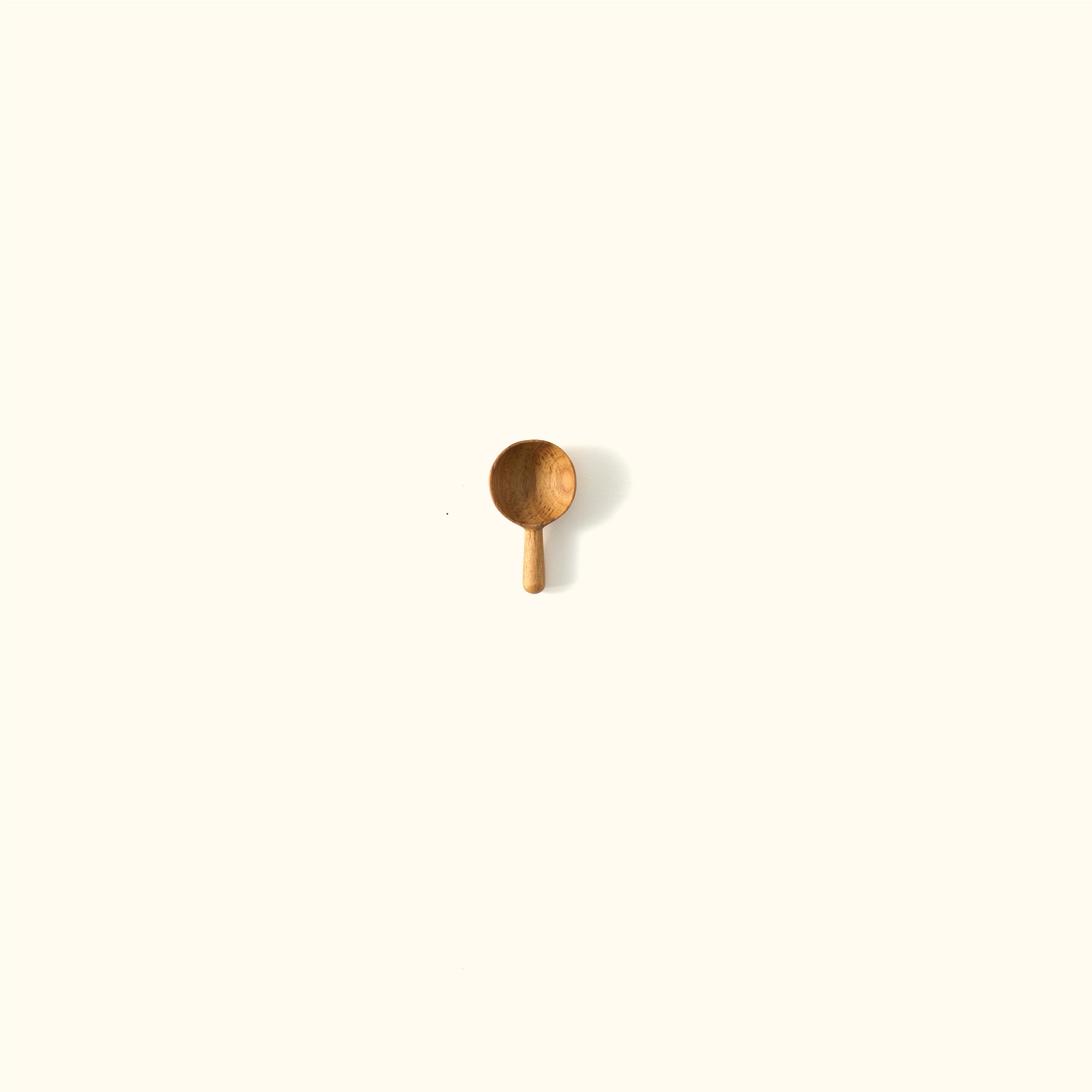 wee 03 - cashew